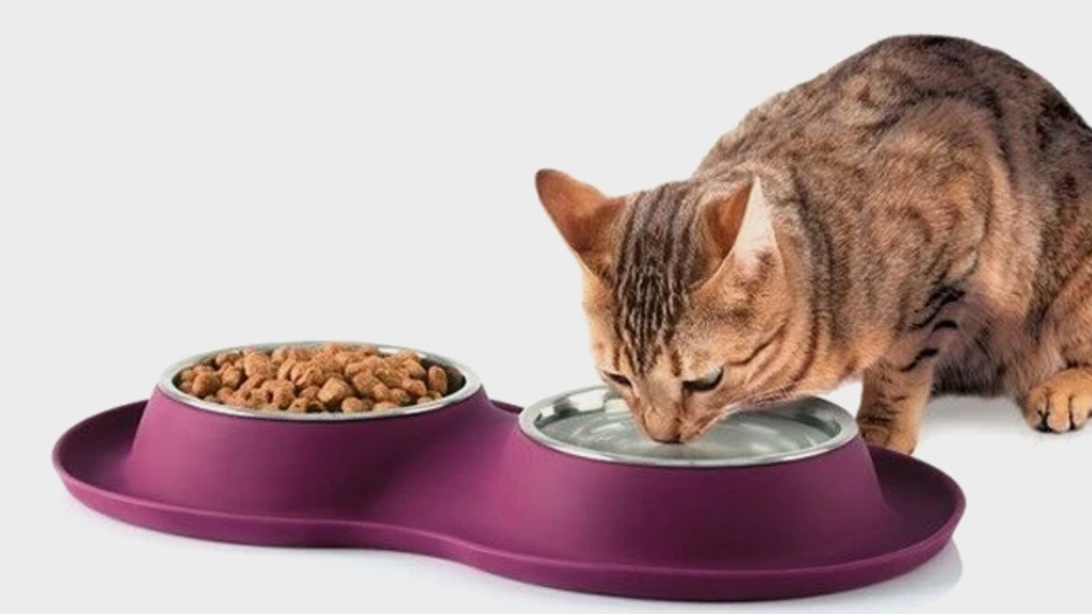 Health Benefits of Bowl Separation